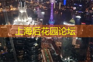 上海龙凤419：越过梦想彼岸：在上海的冒险
