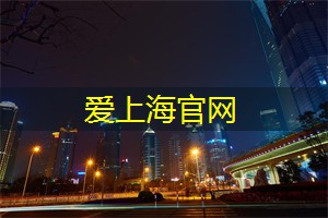 爱上海419论坛：风情万种的上海 __ 夜游