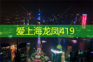上海娱乐网：列车与公交纵横交错的夜行